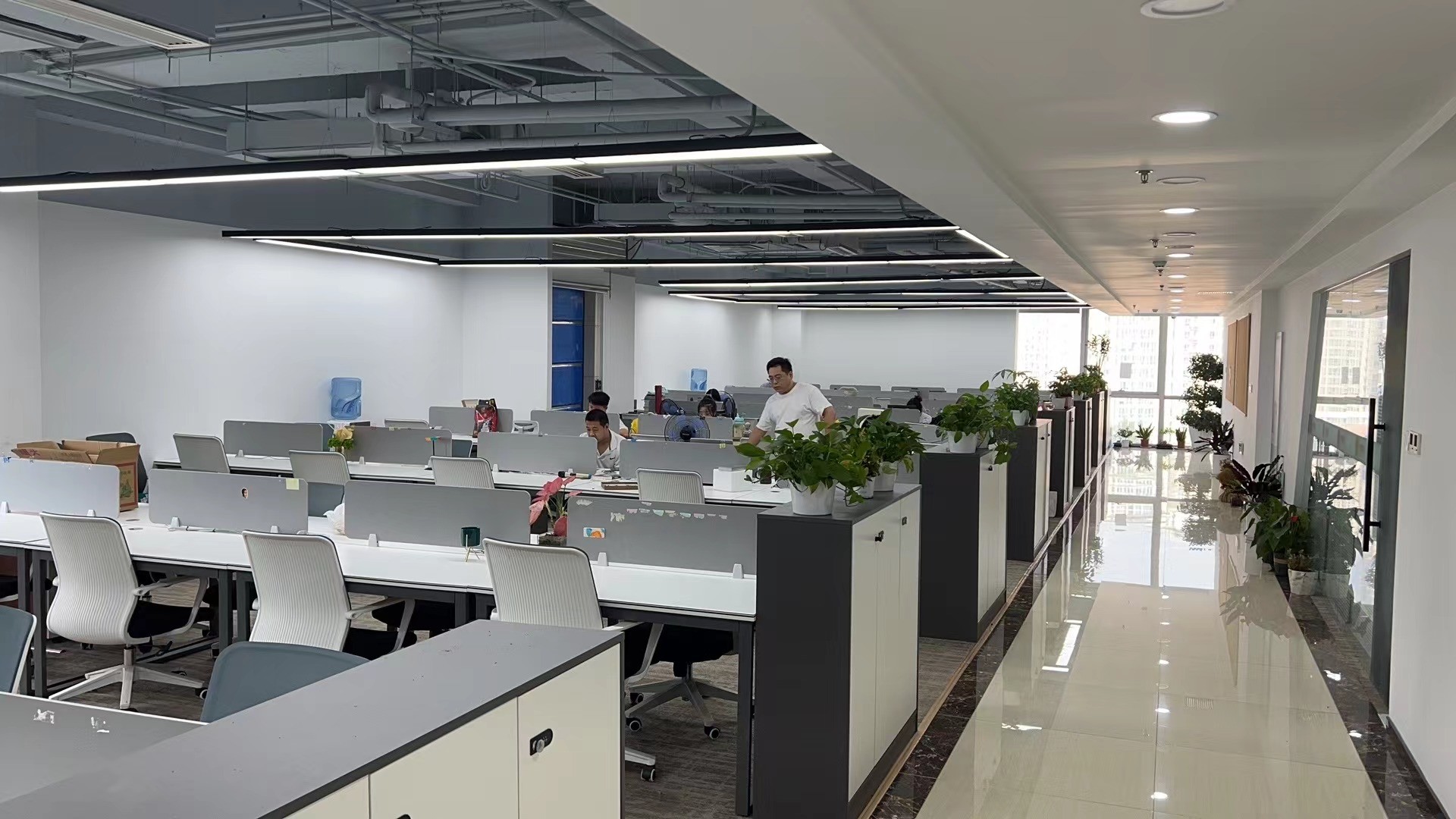 중국 Pro-Digital Technology Limited 회사 프로필